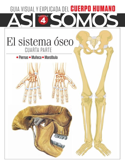 Cover image for Así Somos - El cuerpo humano
